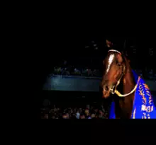 Image n° 1 - screenshots  : Winning Post 2 - Program '96